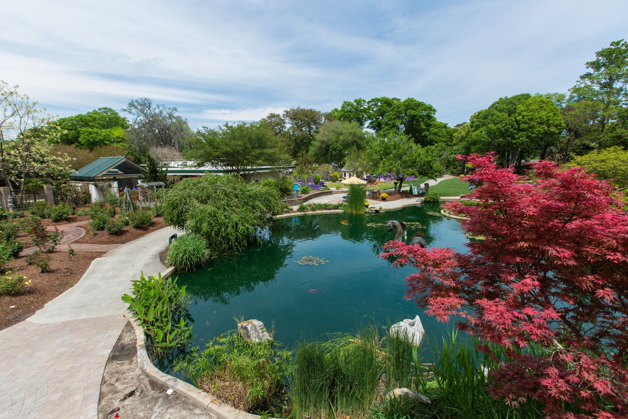 Japanese garden