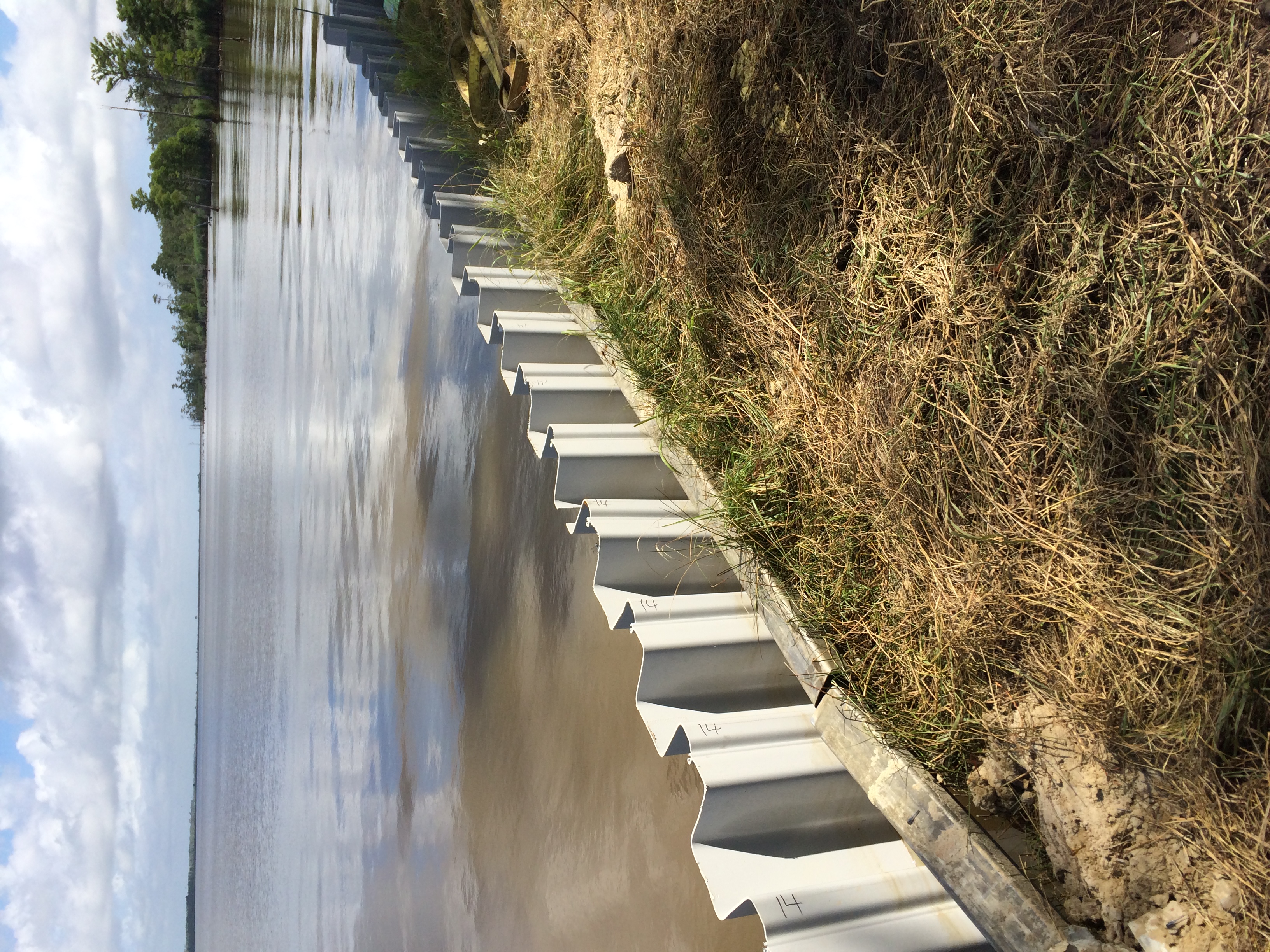 shoreline with fence